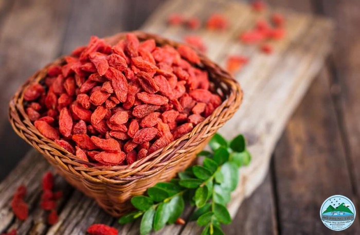 yến chưng táo đỏ kỷ tử thơm ngon yến chưng táo đỏ kỷ tử thơm ngon