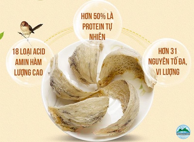 Yến có nhiều đạm không Yến có nhiều đạm không