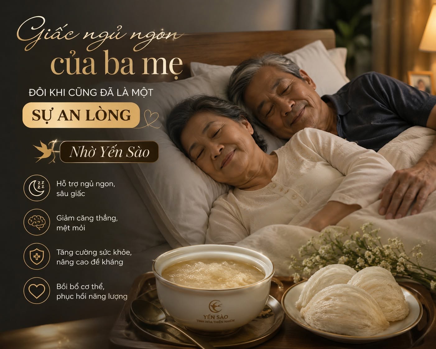 yến sào biếu bố mẹ yến sào biếu bố mẹ