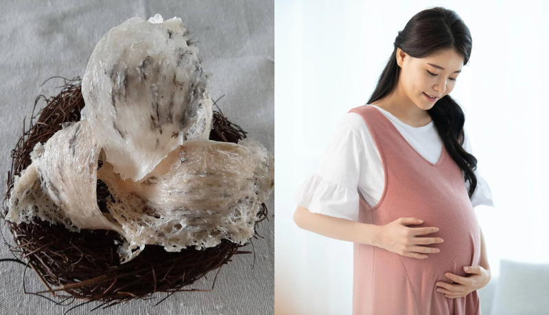 yến sào cho bà bầu yến sào cho bà bầu