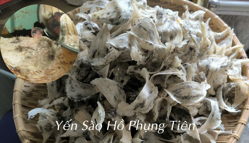 yến sào cho bà bầu yến sào cho bà bầu