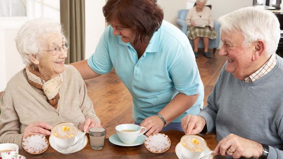 Yến sào Yến sào