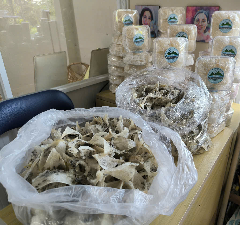 Yến sào Yến sào