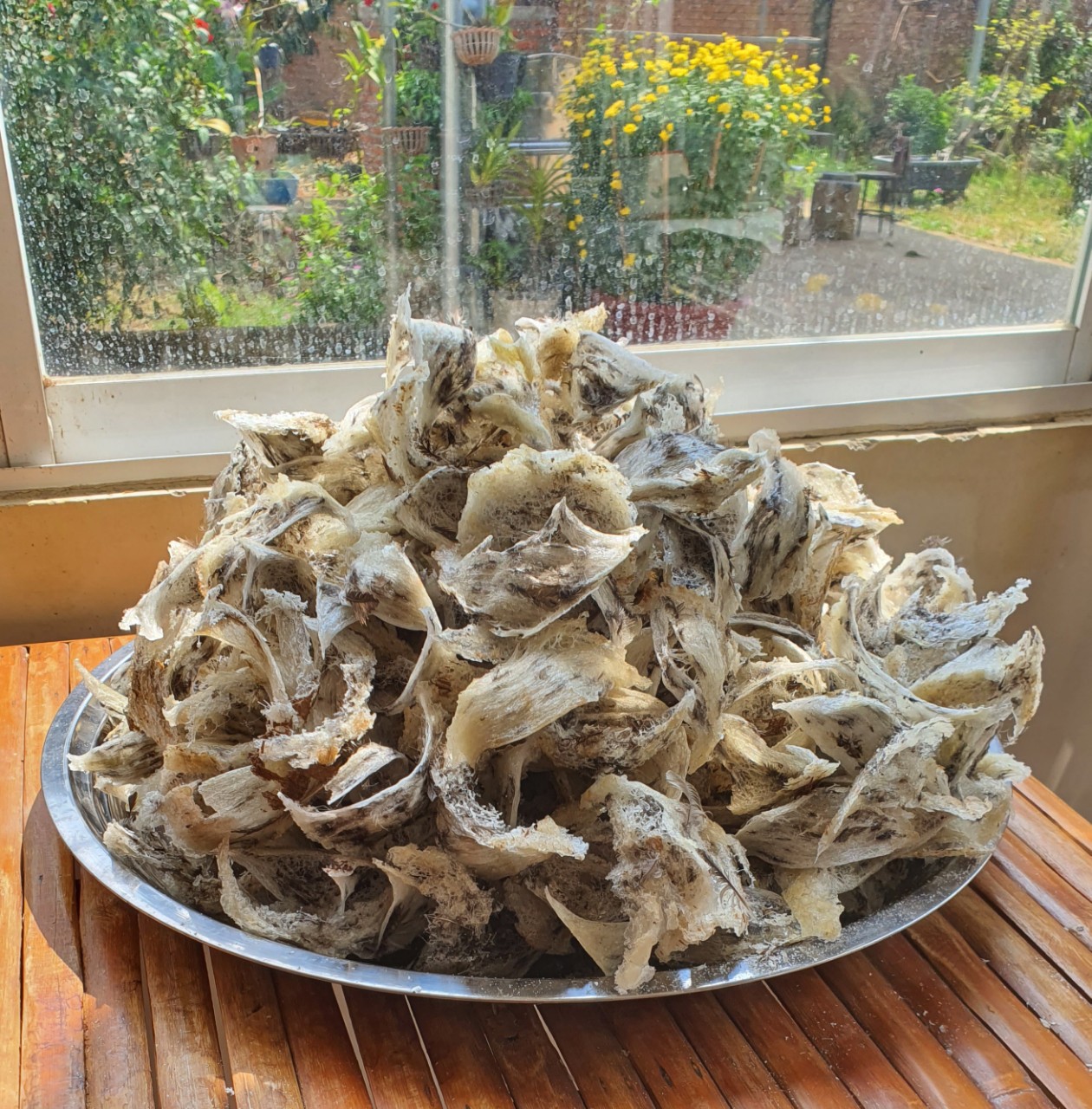 yến sào thô yến sào thô