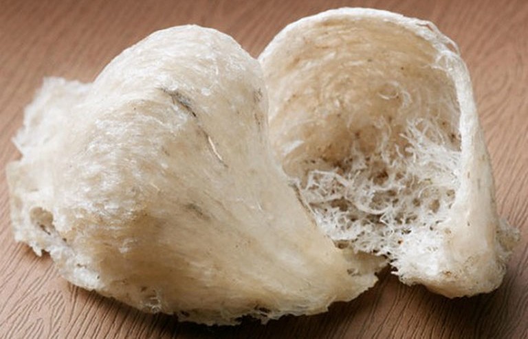 yến sào cho người sau phẫu thuật yến sào cho người sau phẫu thuật