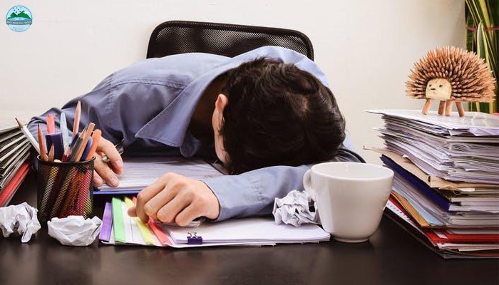 Yến sào cho người suy nhược cơ thể Yến sào cho người suy nhược cơ thể