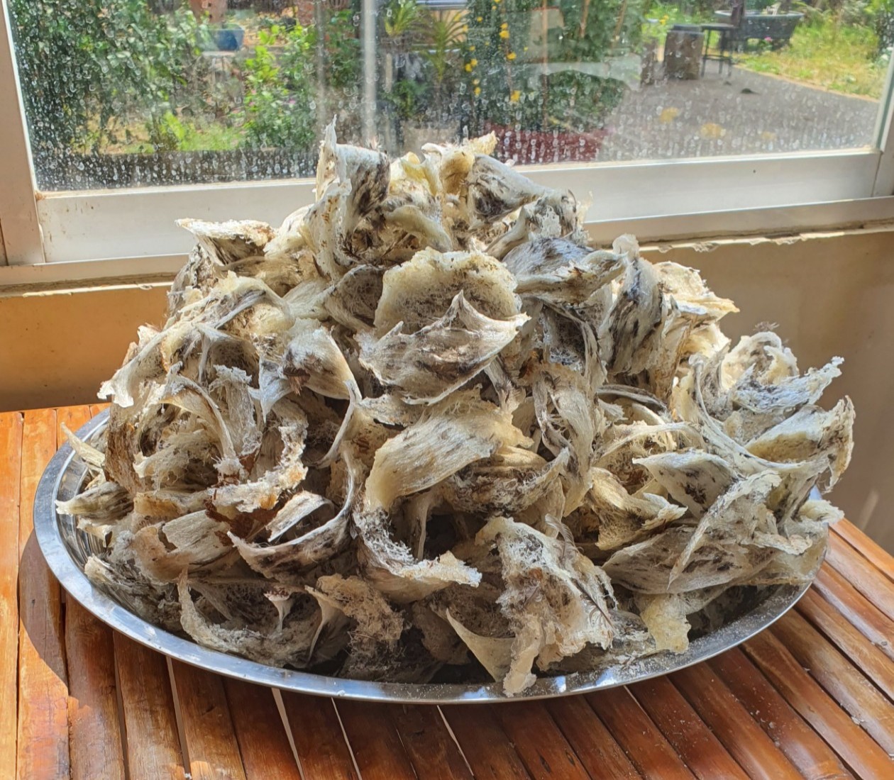 yến sào cho trẻ em yến sào cho trẻ em