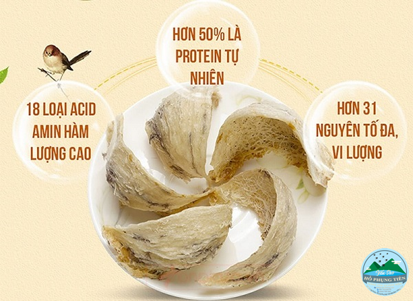 Yến sào có bổ không Yến sào có bổ không