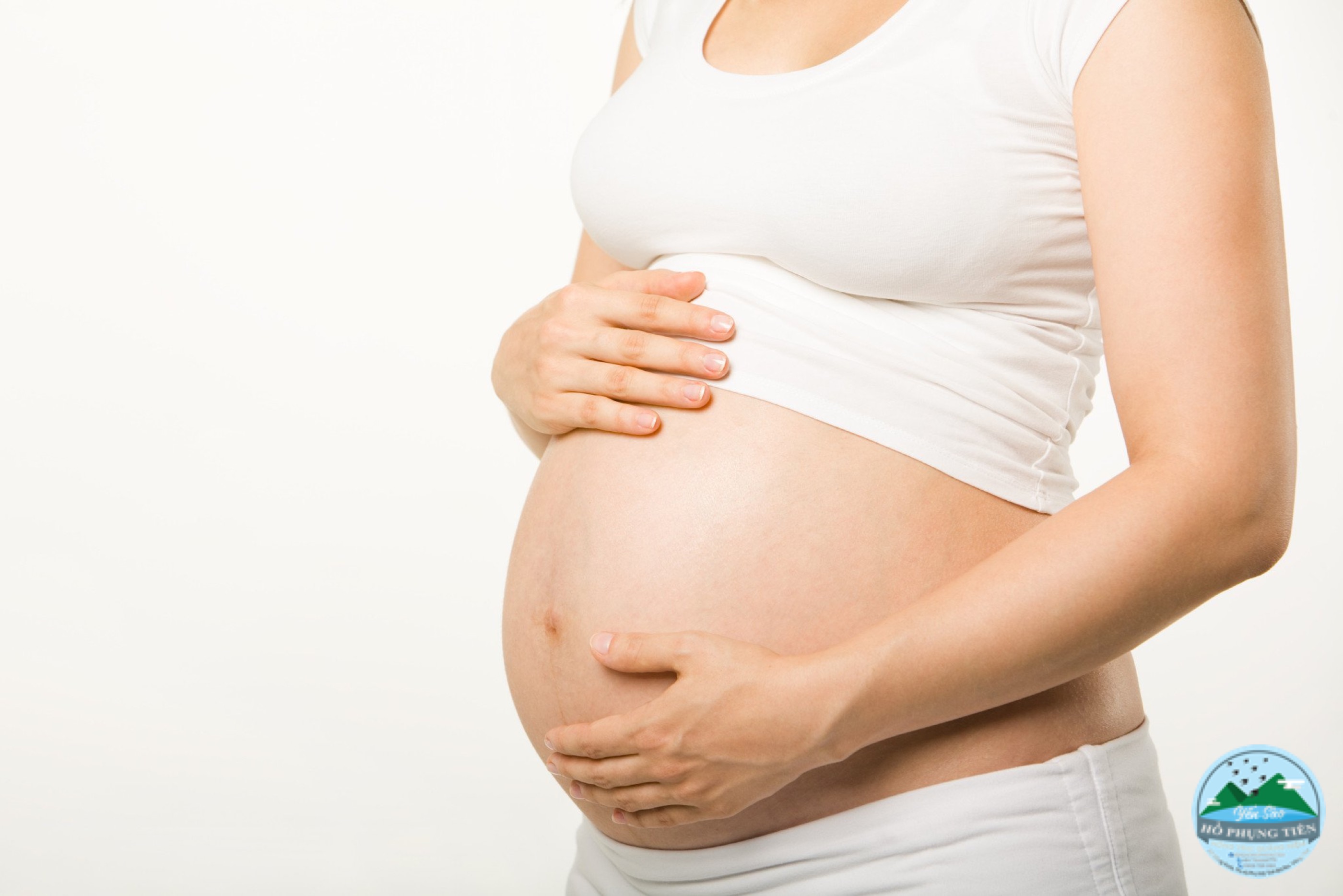 Yến sào có tác dụng gì với bà bầu Yến sào có tác dụng gì với bà bầu