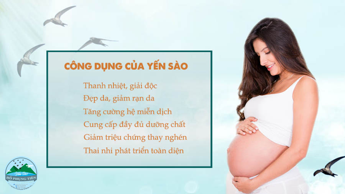 Yến sào có tác dụng gì với bà bầu Yến sào có tác dụng gì với bà bầu