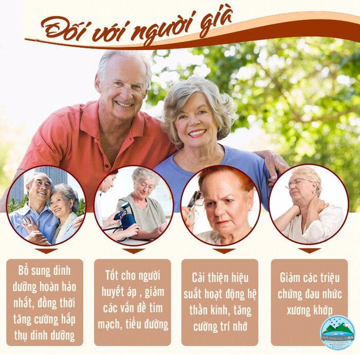 Yến sào có tác dụng gì với người già Yến sào có tác dụng gì với người già