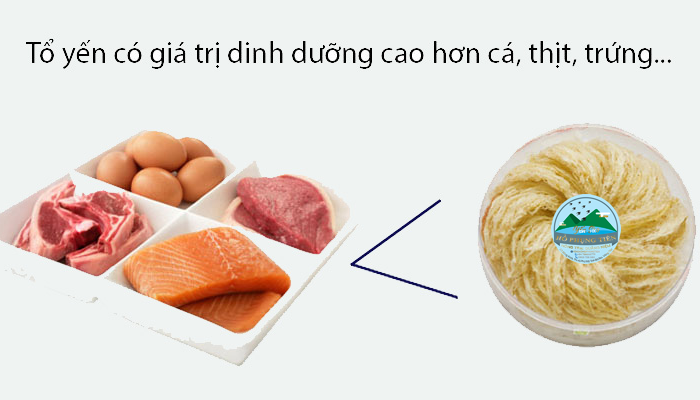 Yến sào có tác dụng gì với trẻ em Yến sào có tác dụng gì với trẻ em