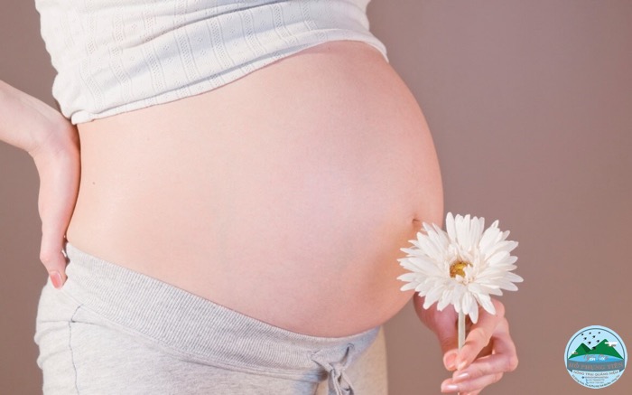 Yến sào có tác dụng gì Yến sào có tác dụng gì