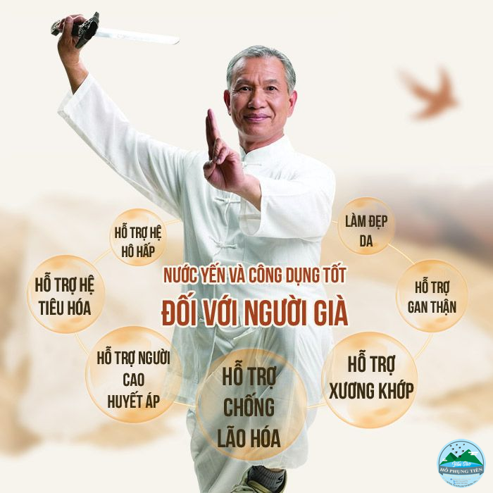 Yến sào có tác dụng gì Yến sào có tác dụng gì