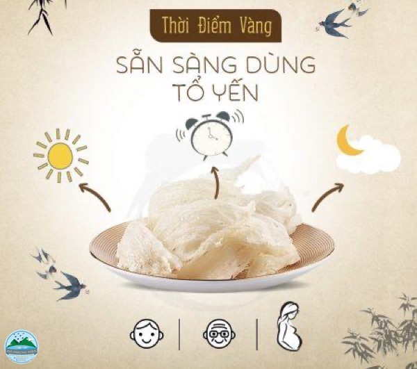 Yến sào có thực sự tốt Yến sào có thực sự tốt