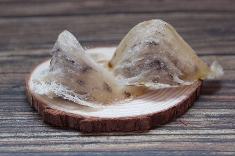 yến sào yến sào