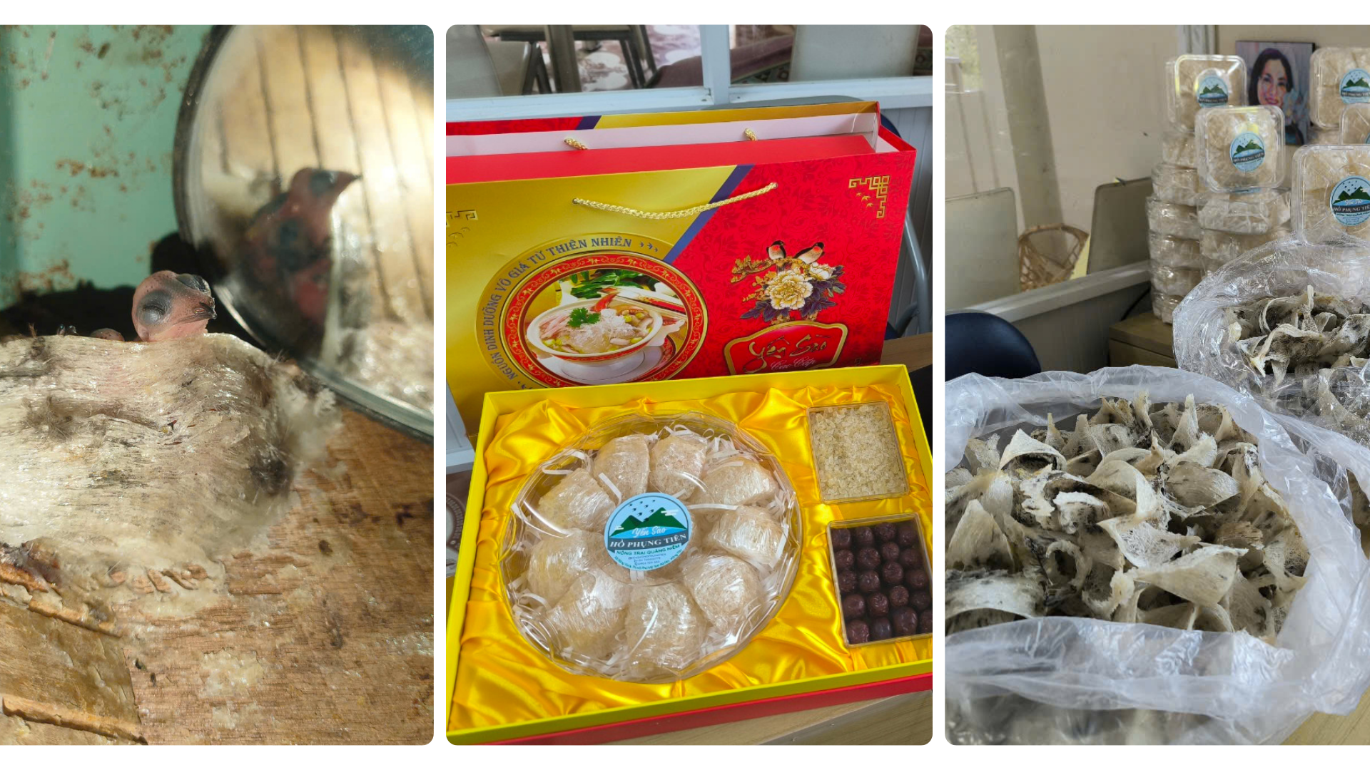 yến sào tặng Tết yến sào tặng Tết