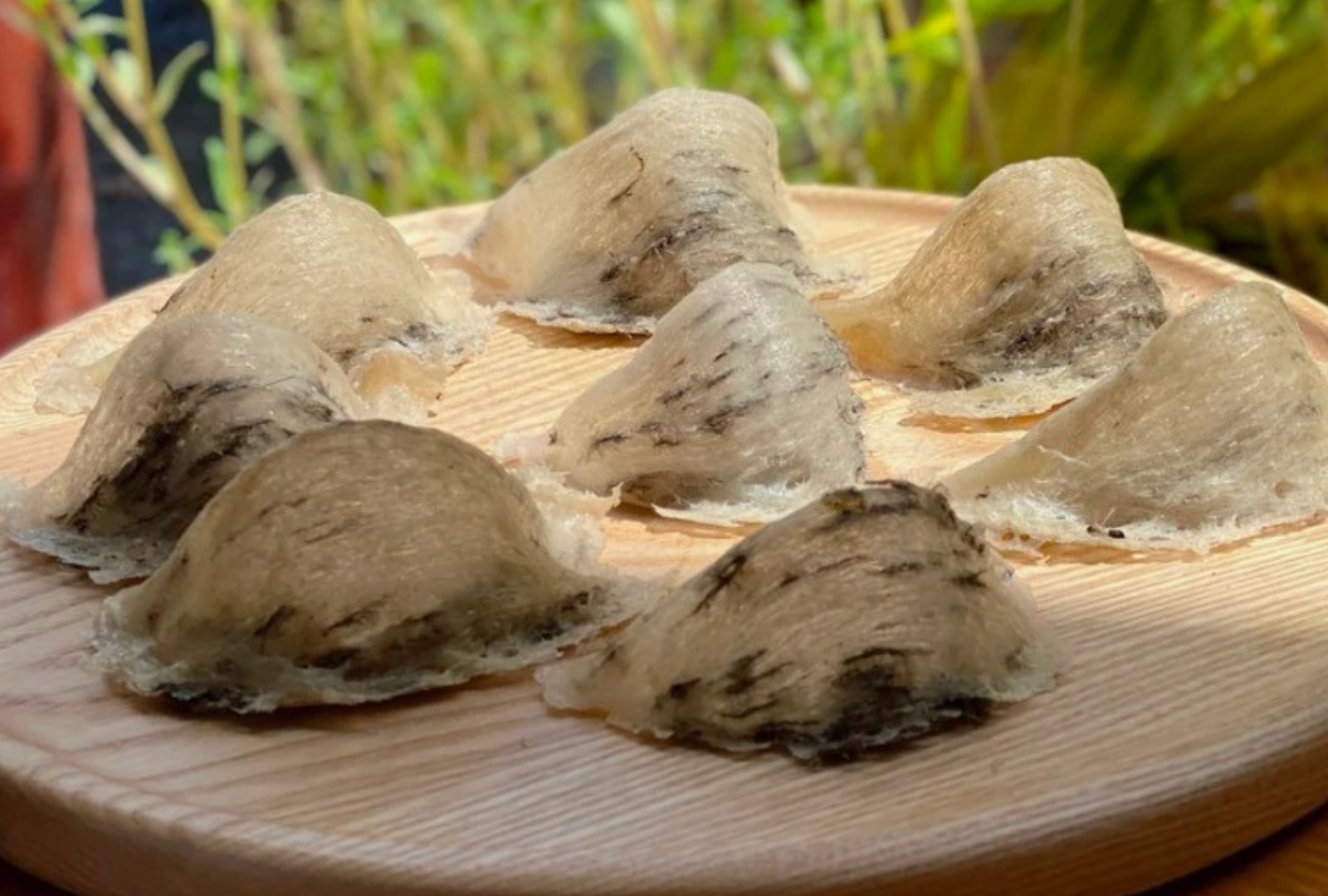 yến sào yến sào