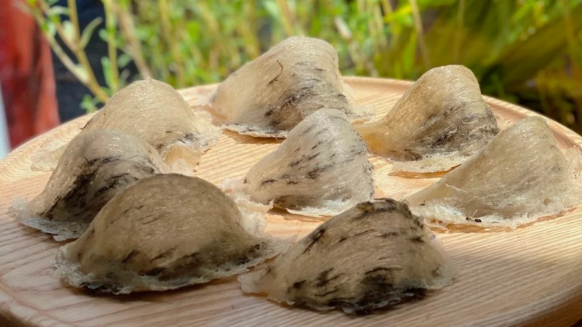 yến sào tặng Tết yến sào tặng Tết