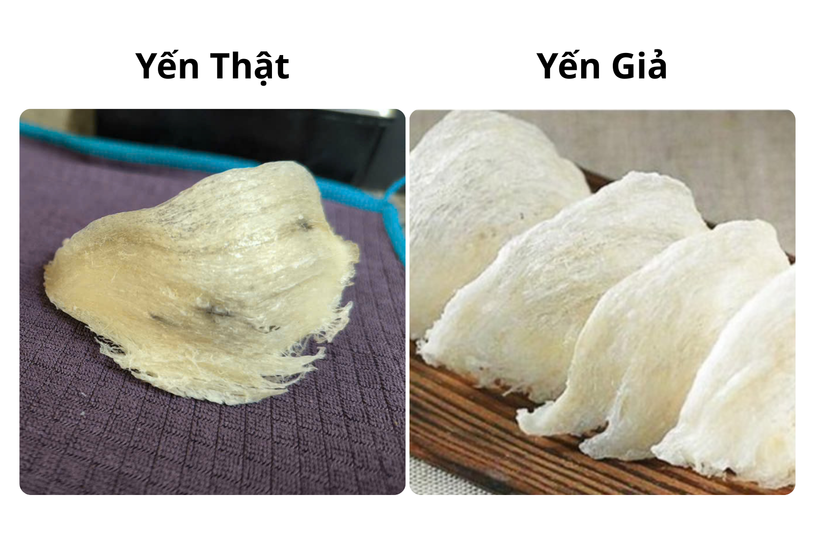 mua yến sào mua yến sào