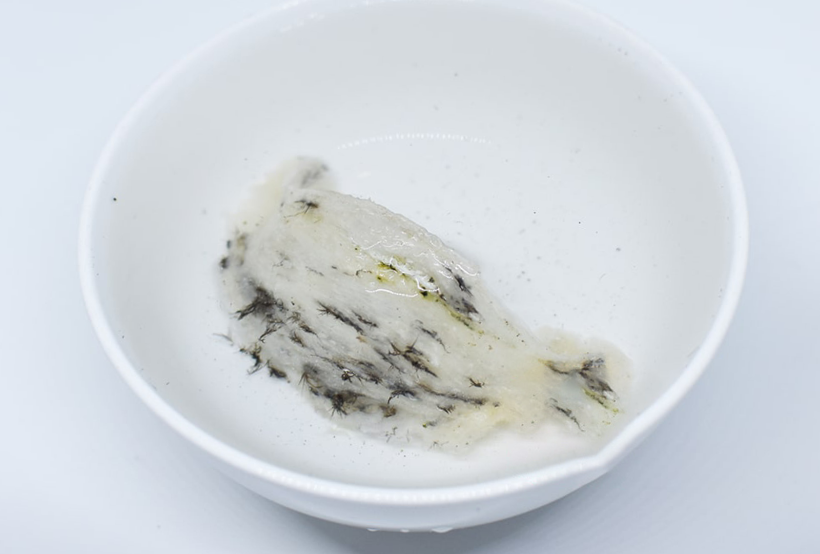 chưng yến chưng yến