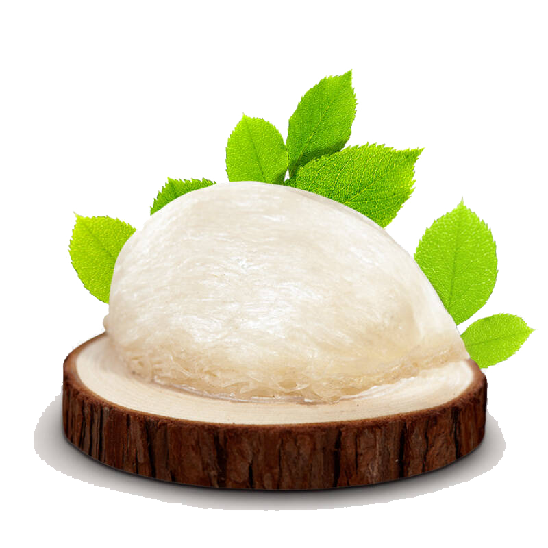 tác dụng của tổ yến đối với sức khỏe tác dụng của tổ yến đối với sức khỏe