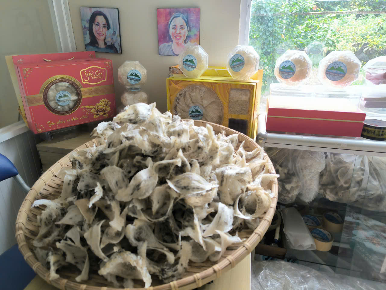 tổ yến nguyên tổ tổ yến nguyên tổ