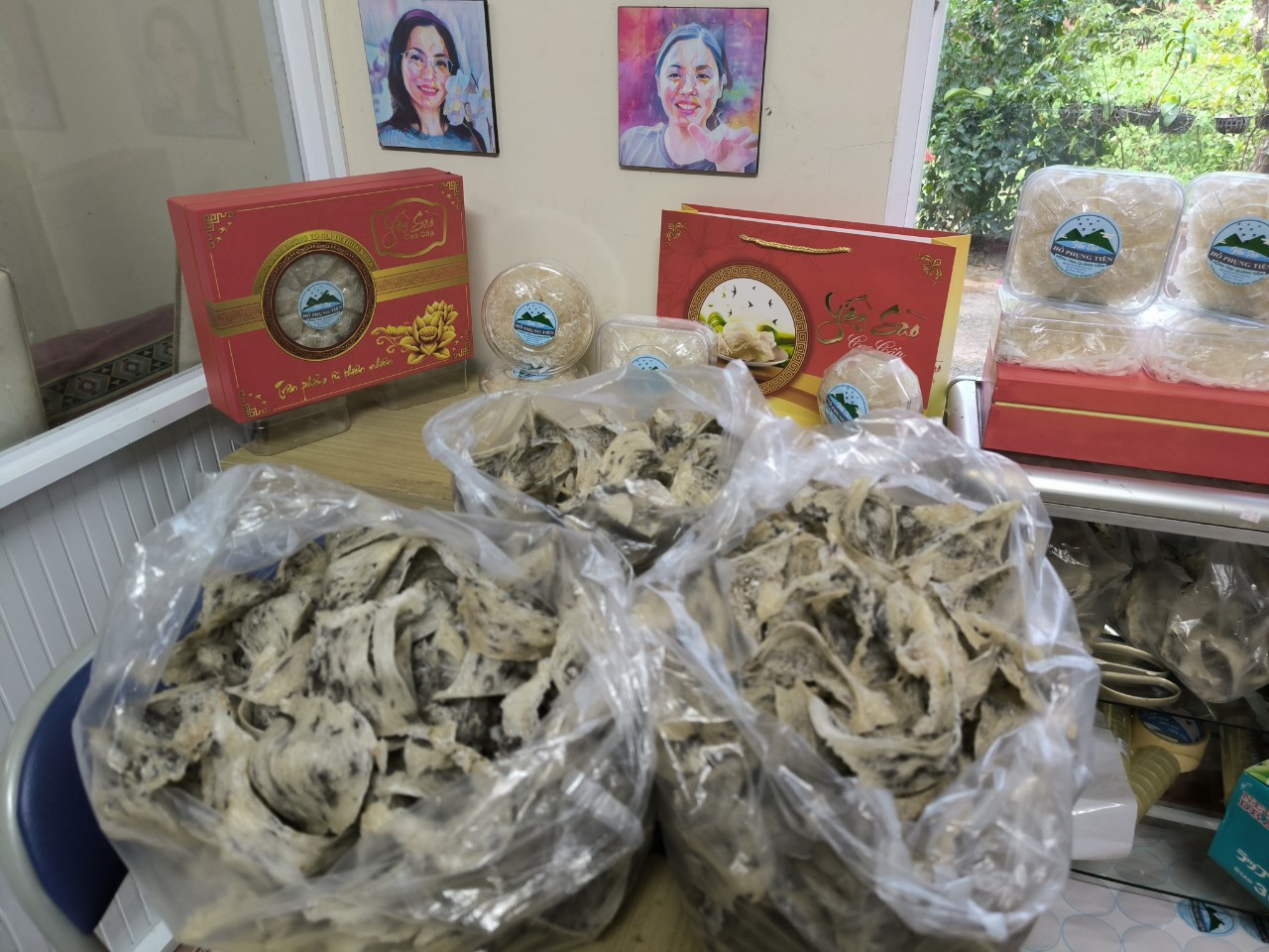 Mua tổ yến nguyên chất Mua tổ yến nguyên chất