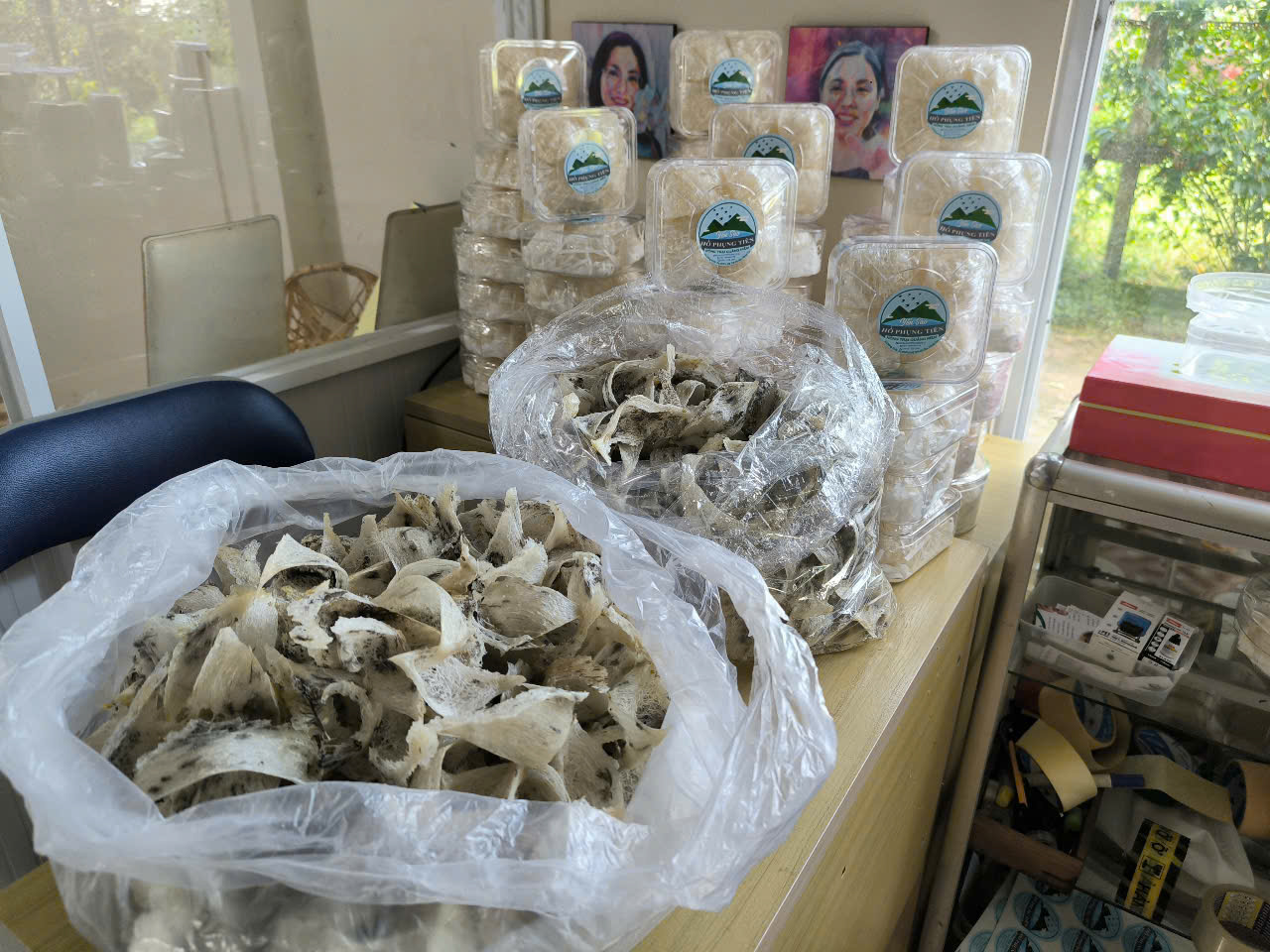 Tổ yến Tổ yến