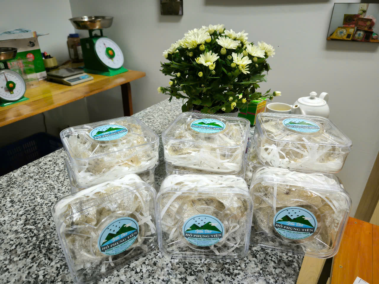 Yến sào Yến sào