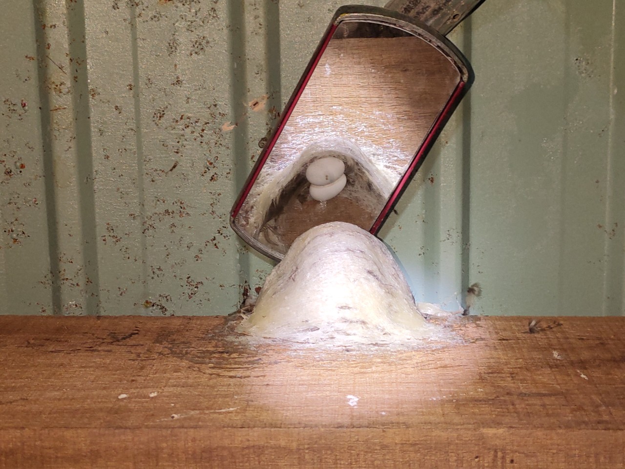 Chọn đúng yến sào nuôi nguyên chất – Trao trọn yêu thương cho người thân Chọn đúng yến sào nuôi nguyên chất – Trao trọn yêu thương cho người thân