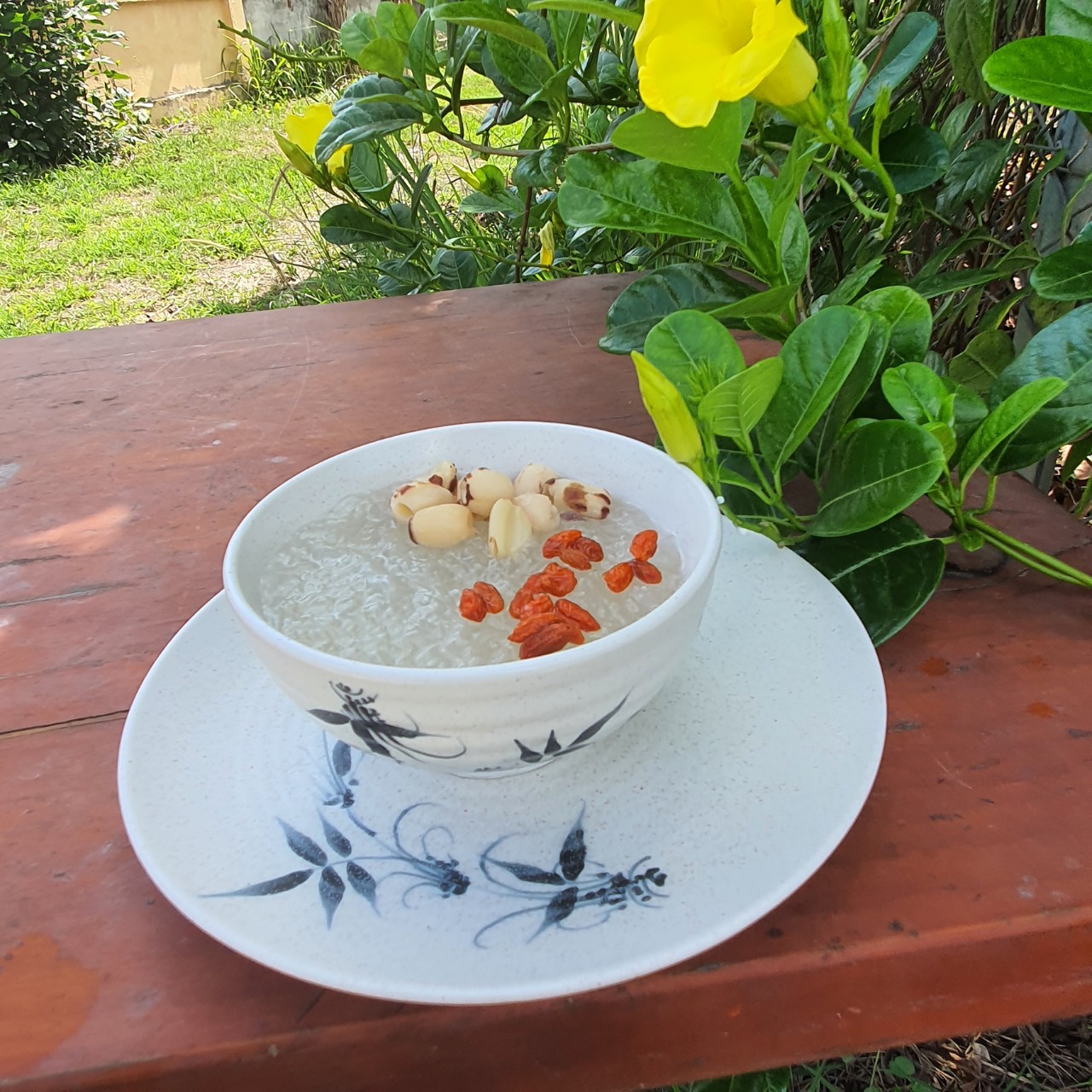 Yến sào sạch 100g Hồ Phụng Tiên Sản phẩm thật - Chất lượng thật Yến sào sạch 100g Hồ Phụng Tiên Sản phẩm thật - Chất lượng thật