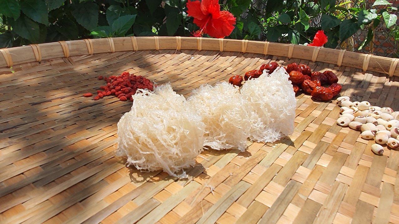 Tác dụng của tổ yến với bệnh nhân ung thư Tác dụng của tổ yến với bệnh nhân ung thư