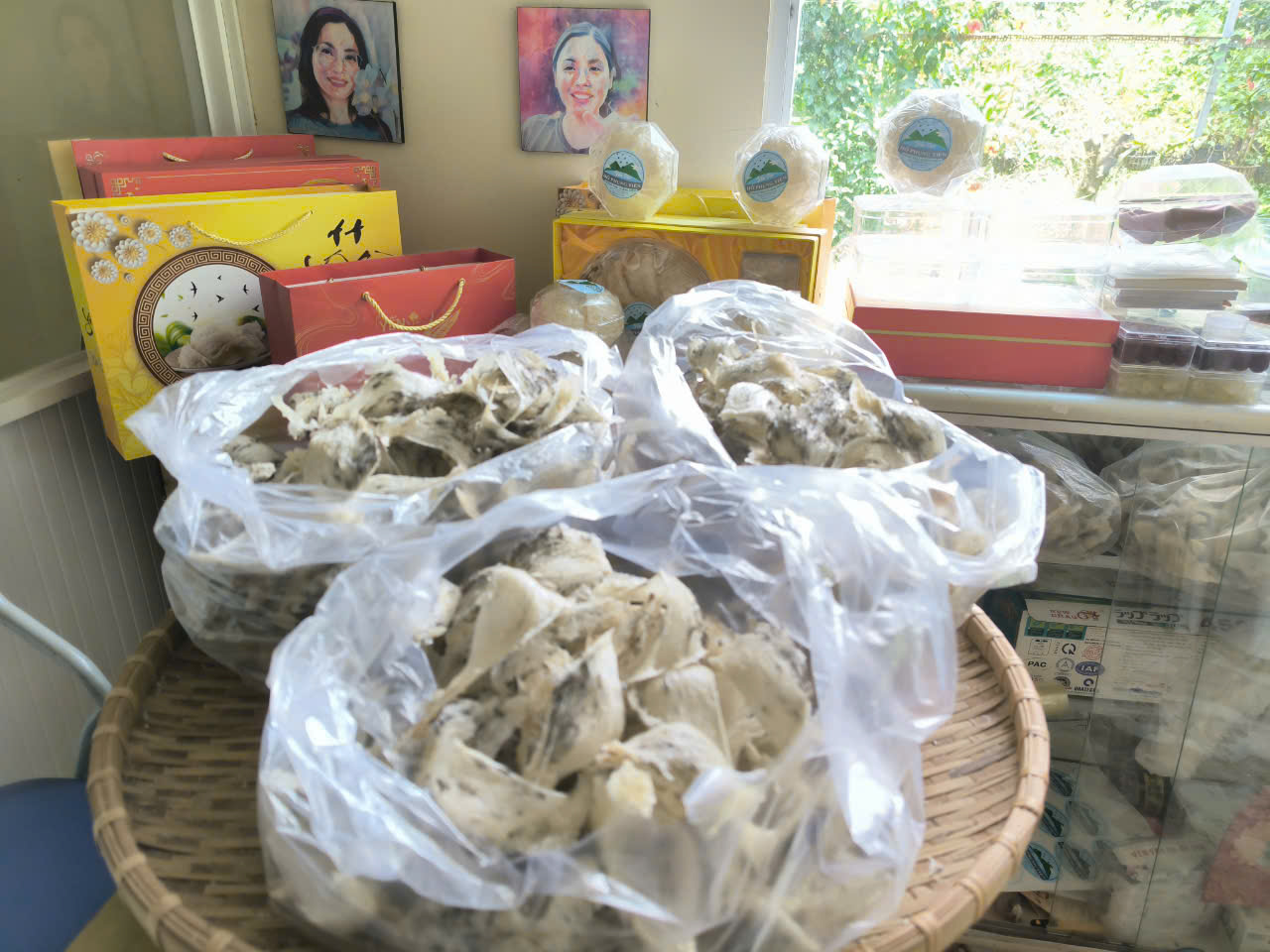 Tổ yến Tổ yến