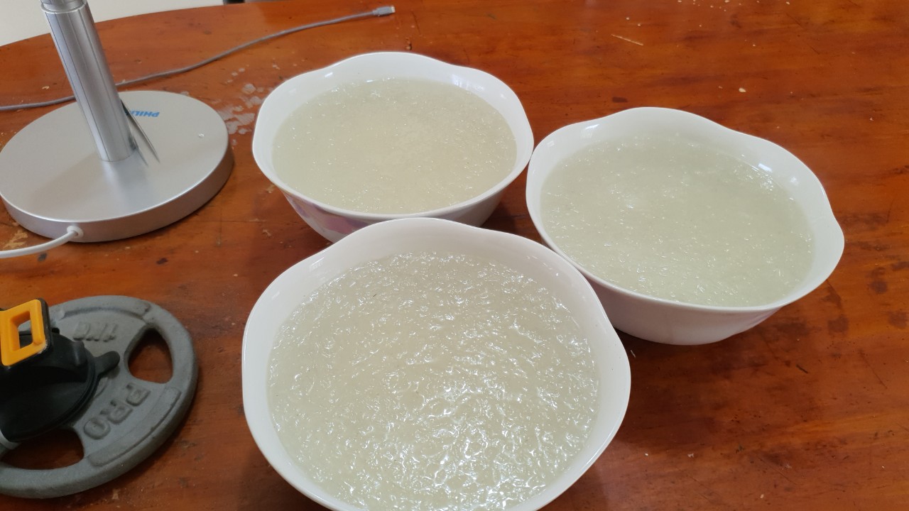 Ăn yến sào hàng ngày để phát huy được hiệu quả dinh dưỡng Ăn yến sào hàng ngày để phát huy được hiệu quả dinh dưỡng