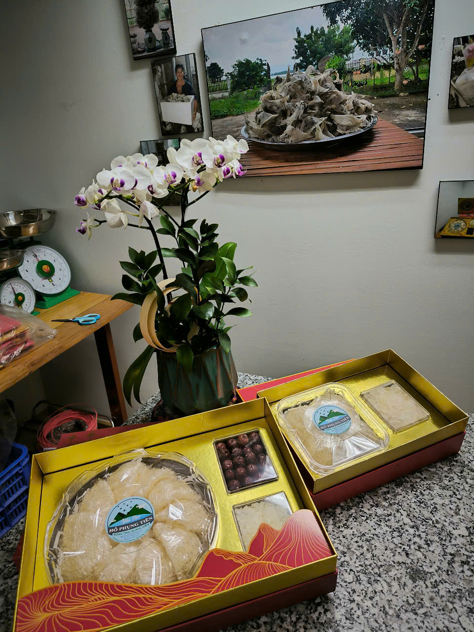 Yến sào tinh chế Yến sào tinh chế