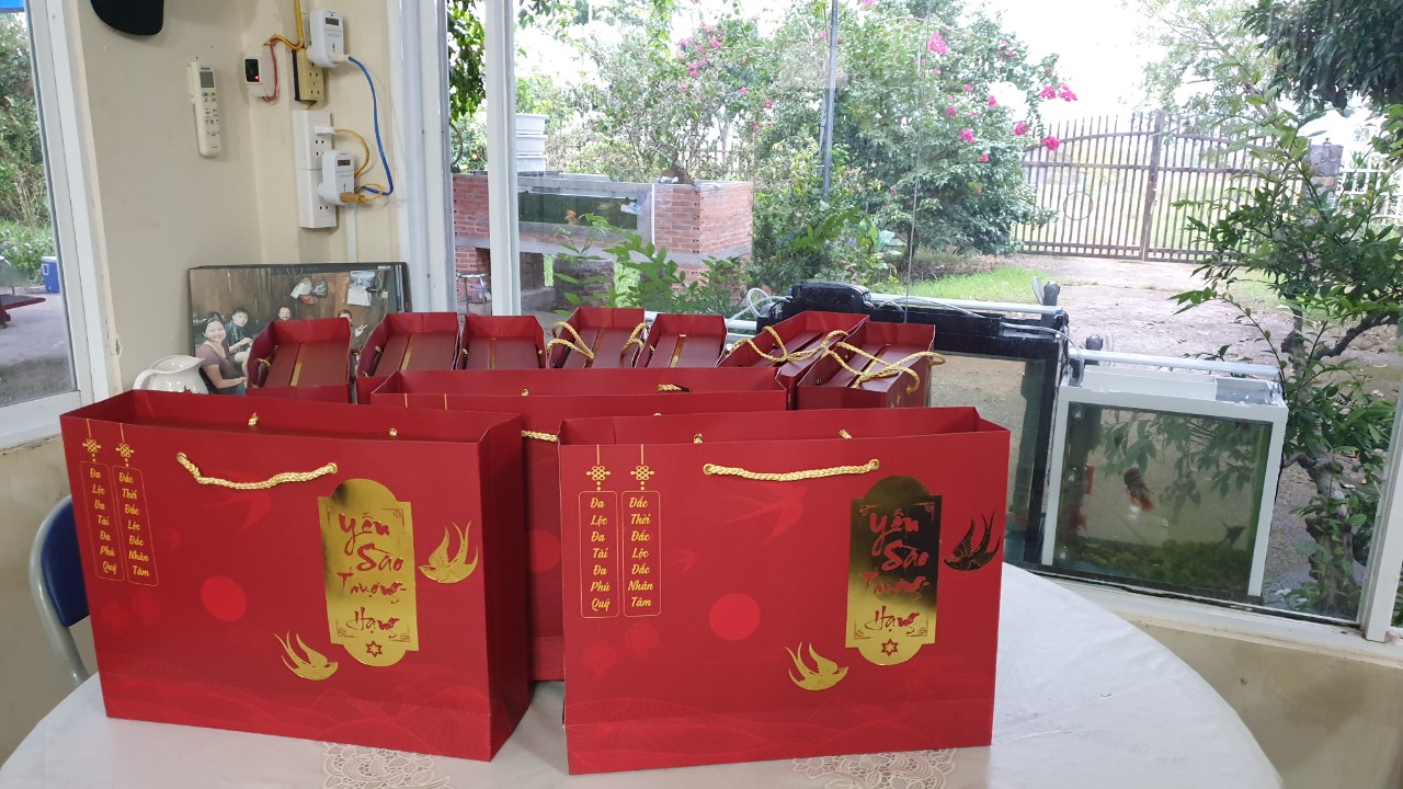 Yến Sào Yến Sào