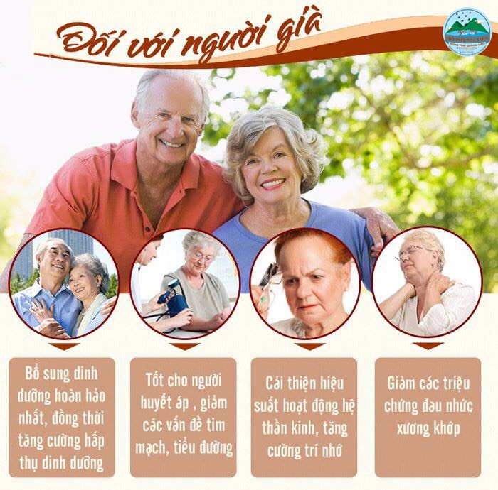 Yến sào Yến sào