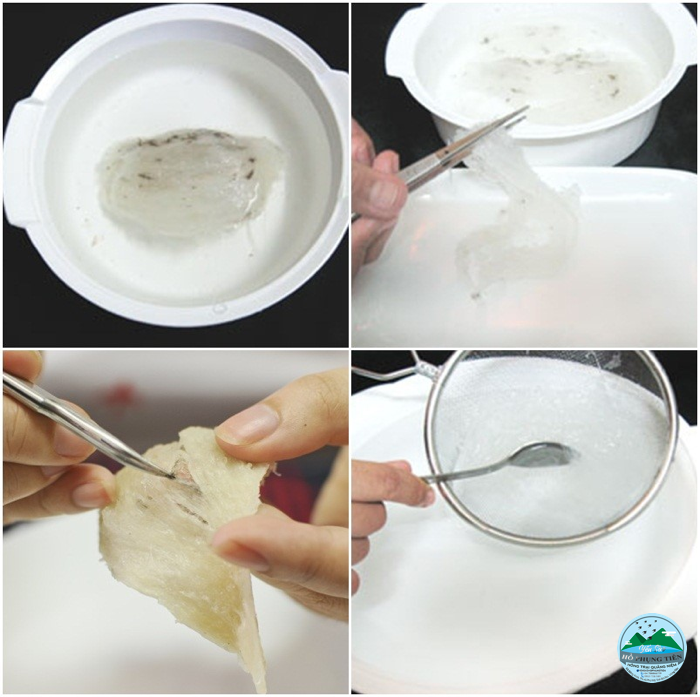 yến sào yến sào