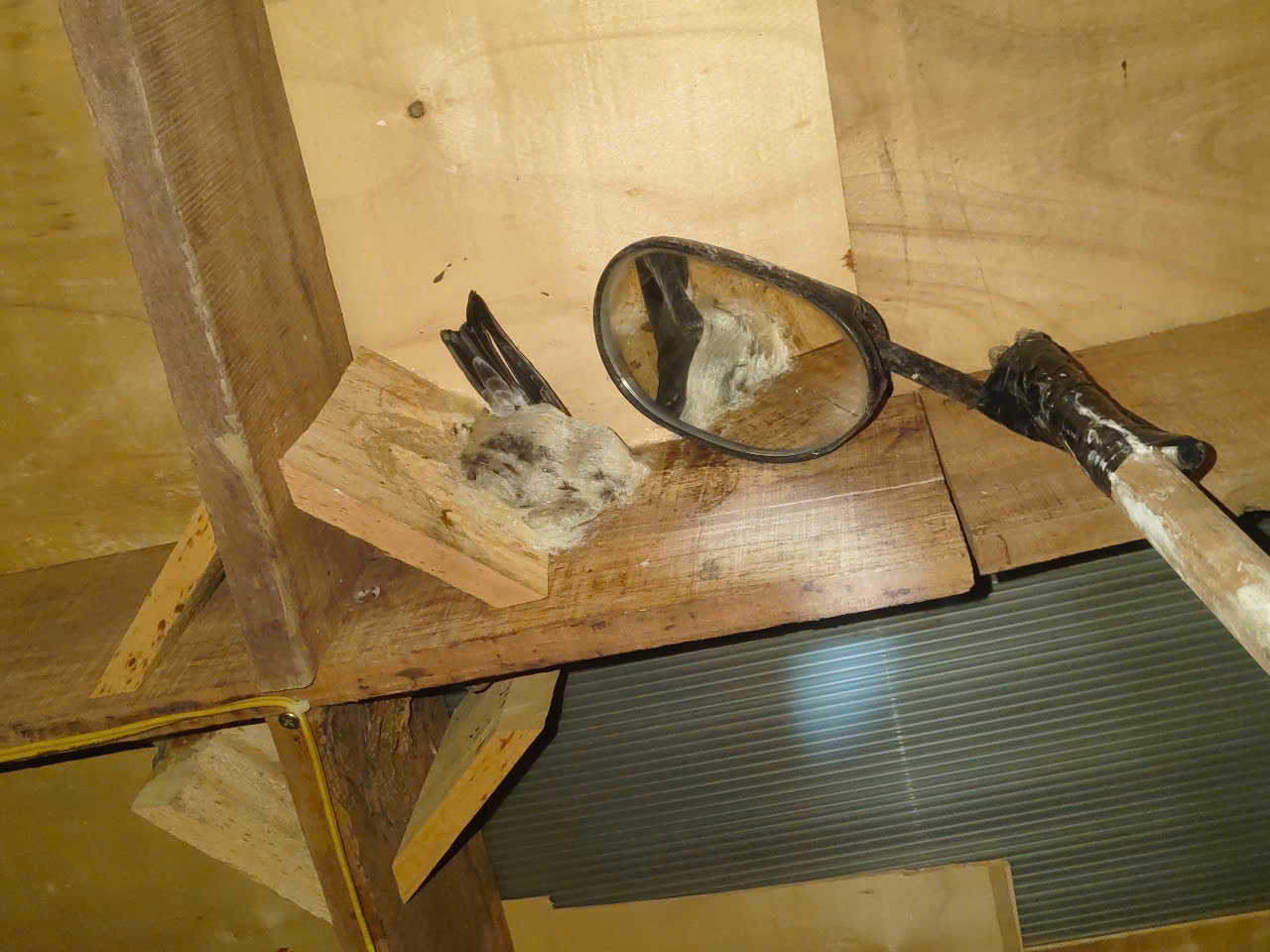 yến thô thật yến thô thật