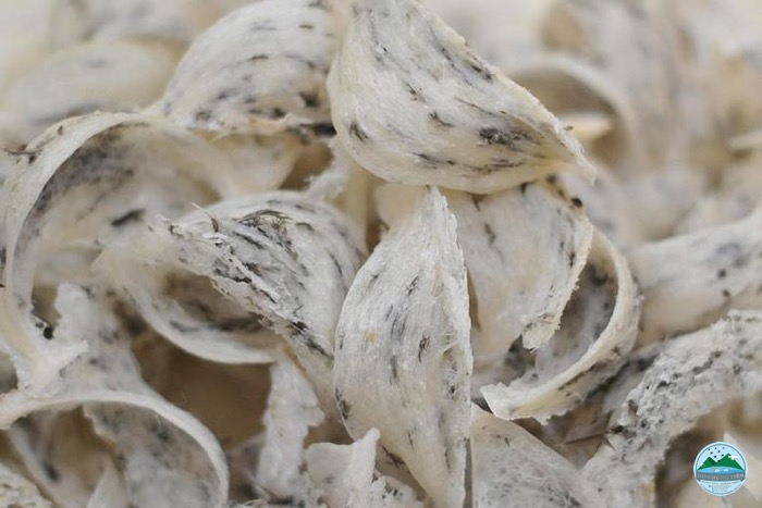 yến thô và yến tinh chế yến thô và yến tinh chế