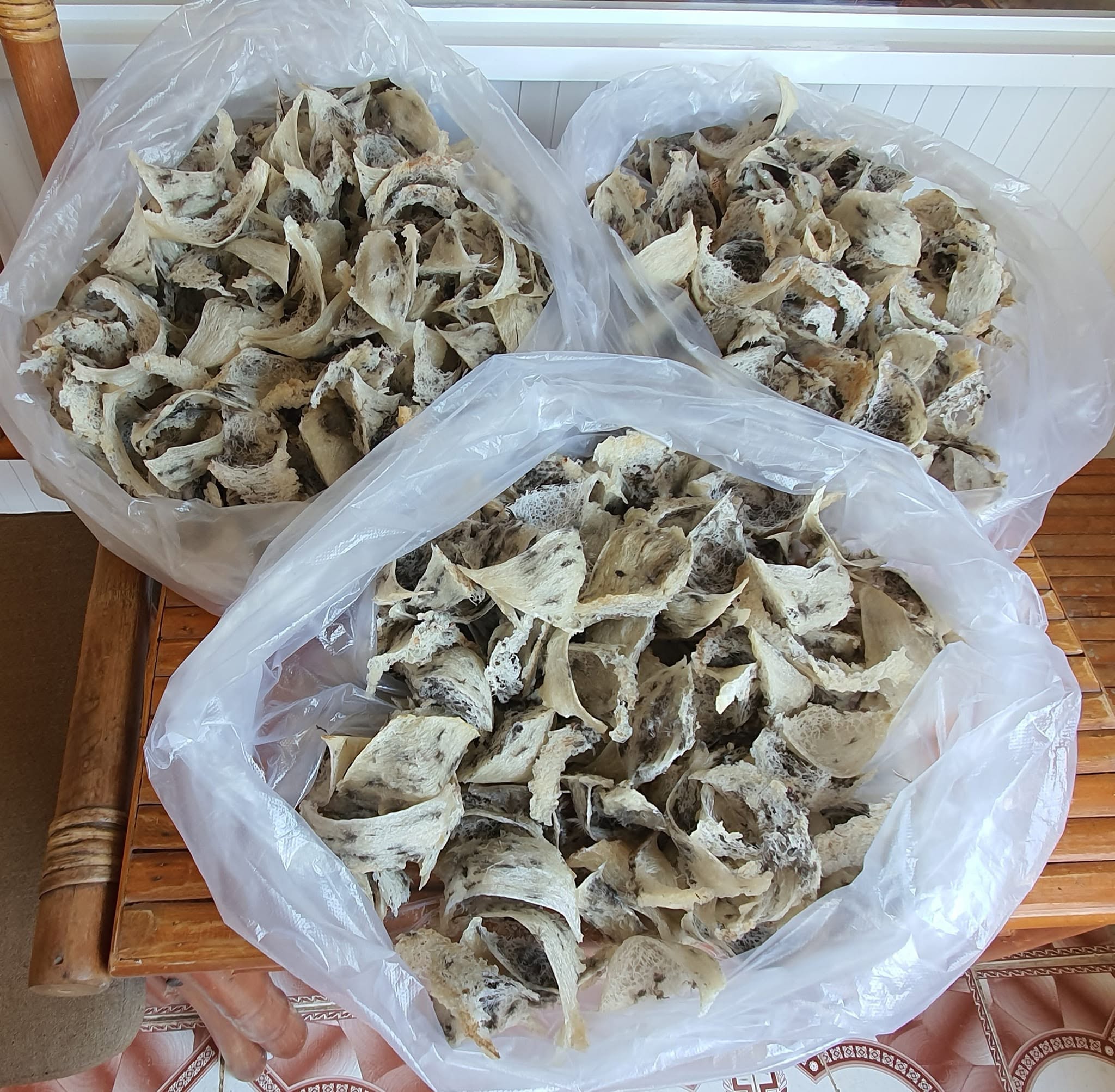 yến thô yến thô