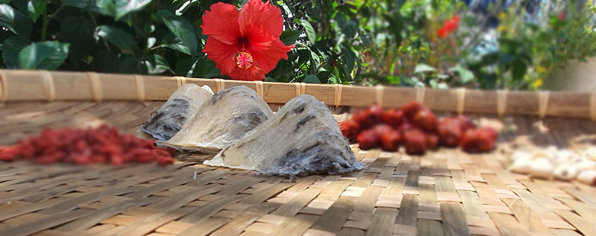 kinh nghiệm mua yến sào kinh nghiệm mua yến sào