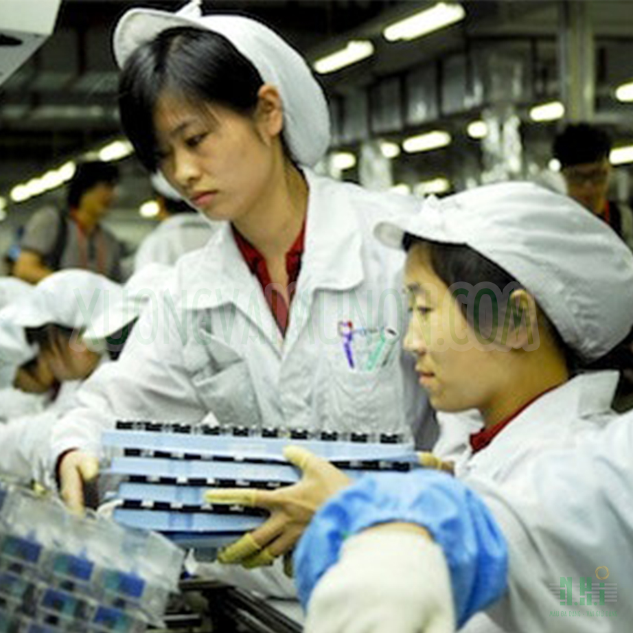 Mũ nón bao tóc công nhân Mũ nón bao tóc công nhân