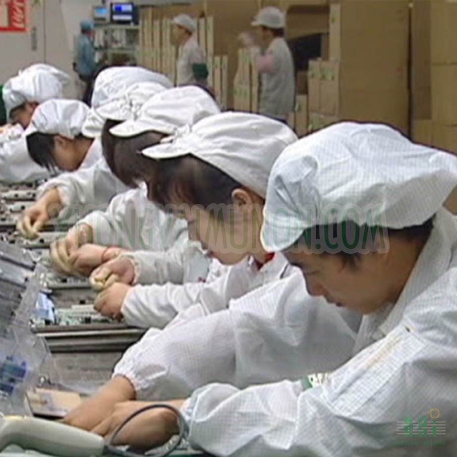 Mũ nón trùm tóc bảo hộ lao động Mũ nón trùm tóc bảo hộ lao động