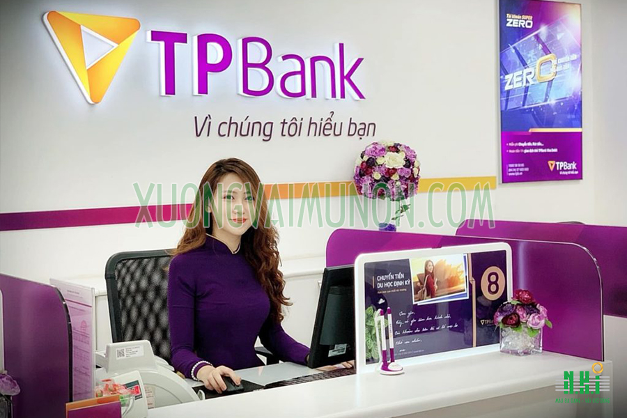 Đồng phục màu tím của TPBANK Đồng phục màu tím của TPBANK
