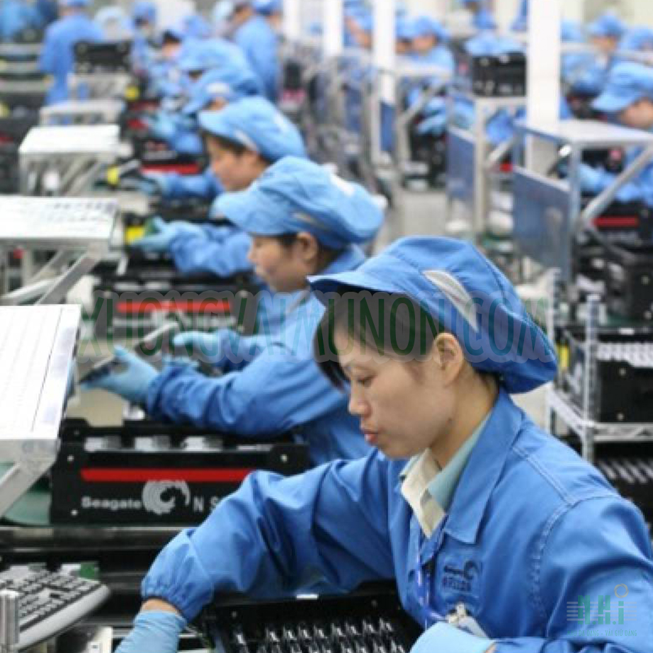 Mũ bao tóc công nhân Mũ bao tóc công nhân