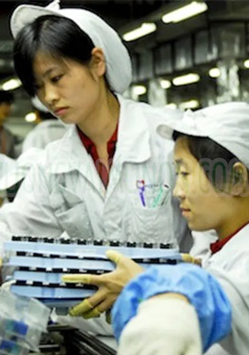 Nón bảo hộ lao động - Nón bao tóc công nhân
