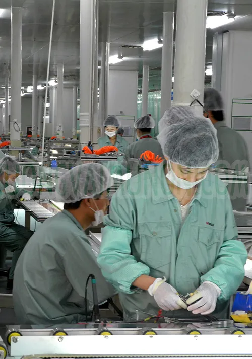 Nón bảo hộ lao động - Nón bao tóc công nhân