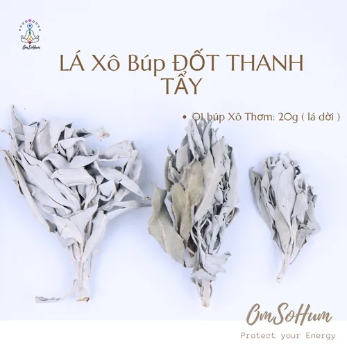 Xô Thơm Trắng Whitesage